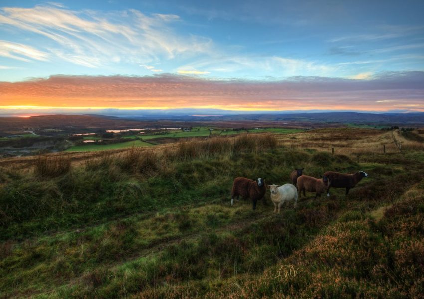 rondreis ierland 14 dagen