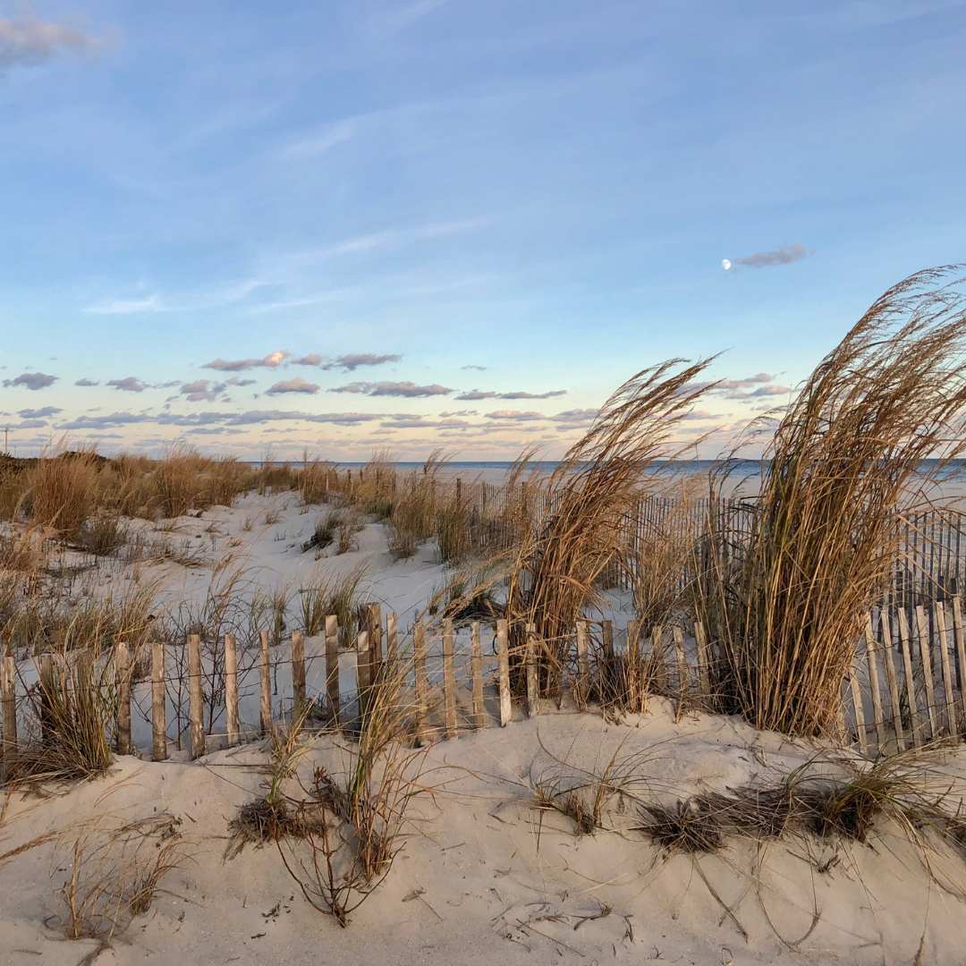 Duinen Duinen