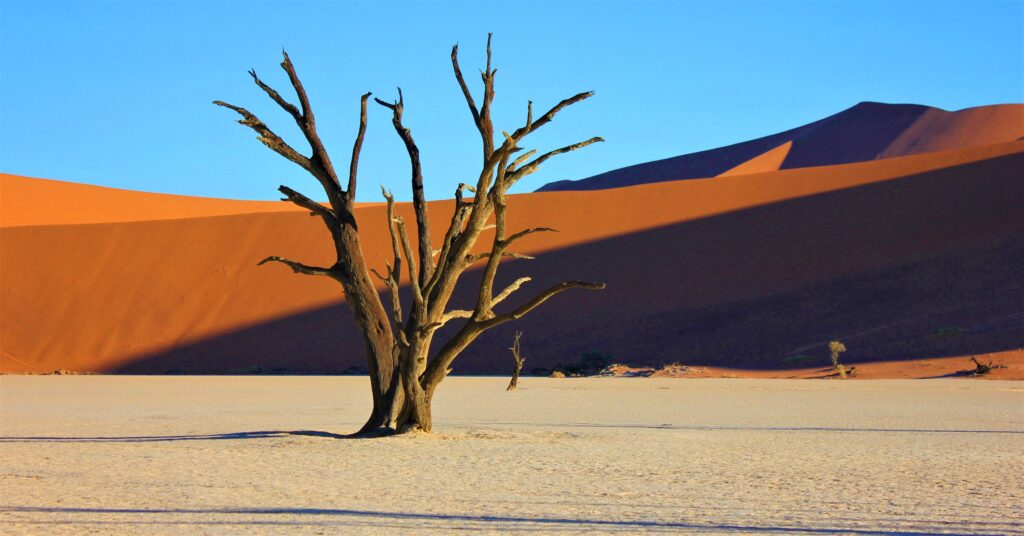 Namibië: Sossusvlei