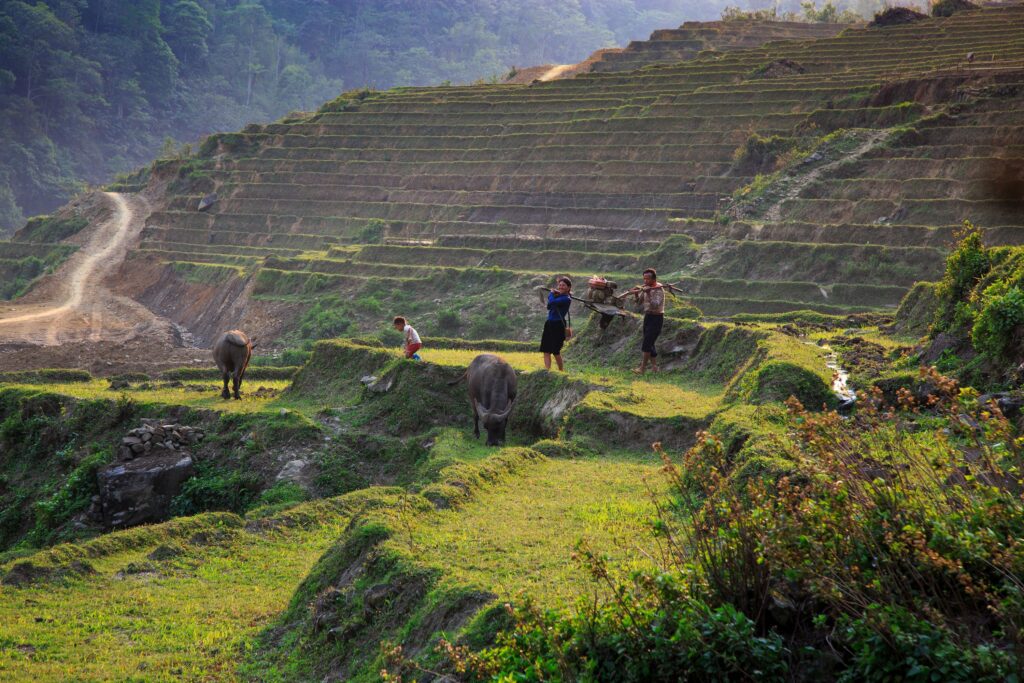 Sapa Vietnam