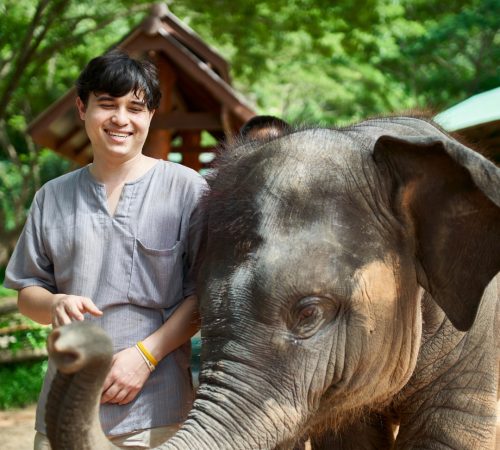 Elephant sanctuary