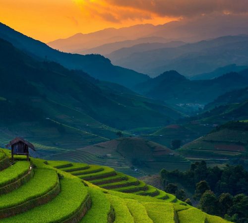 Pai Rice Field