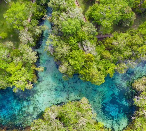 Crystal River