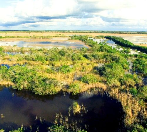 Everglades