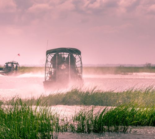 Everglades