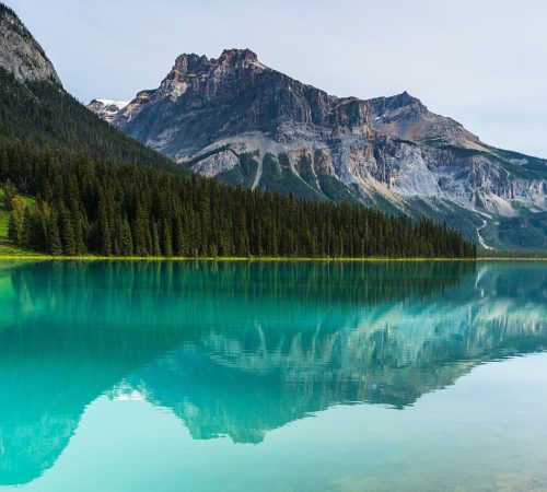 WBT_Canada-Best-159