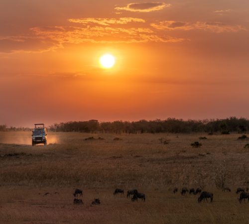 Botswana: Chobe