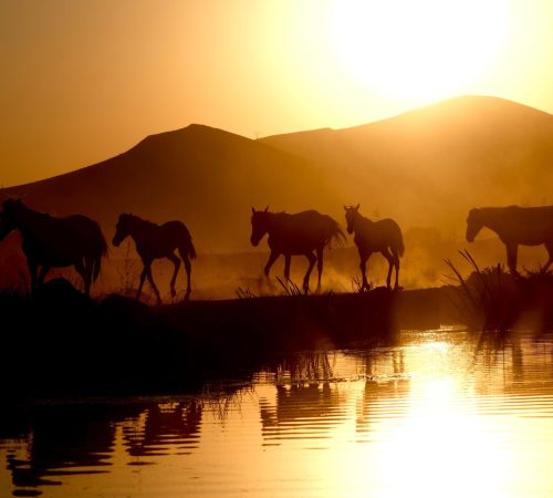Namibië: Aus