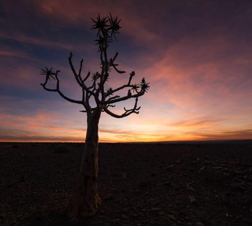Namibië: Kalahari