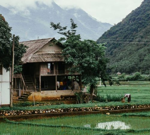 Nghia Lo - vietnam