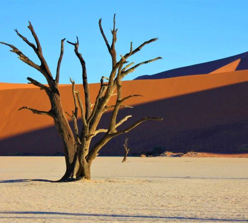 Namibië: Sossusvlei