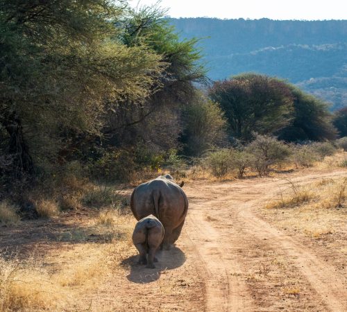 Namibië: Waterberg
