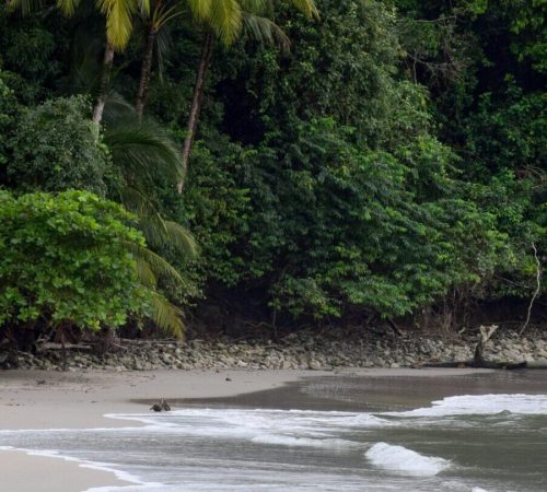 Costa rica - strand