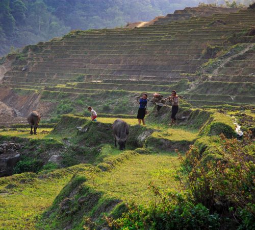 Sapa Vietnam